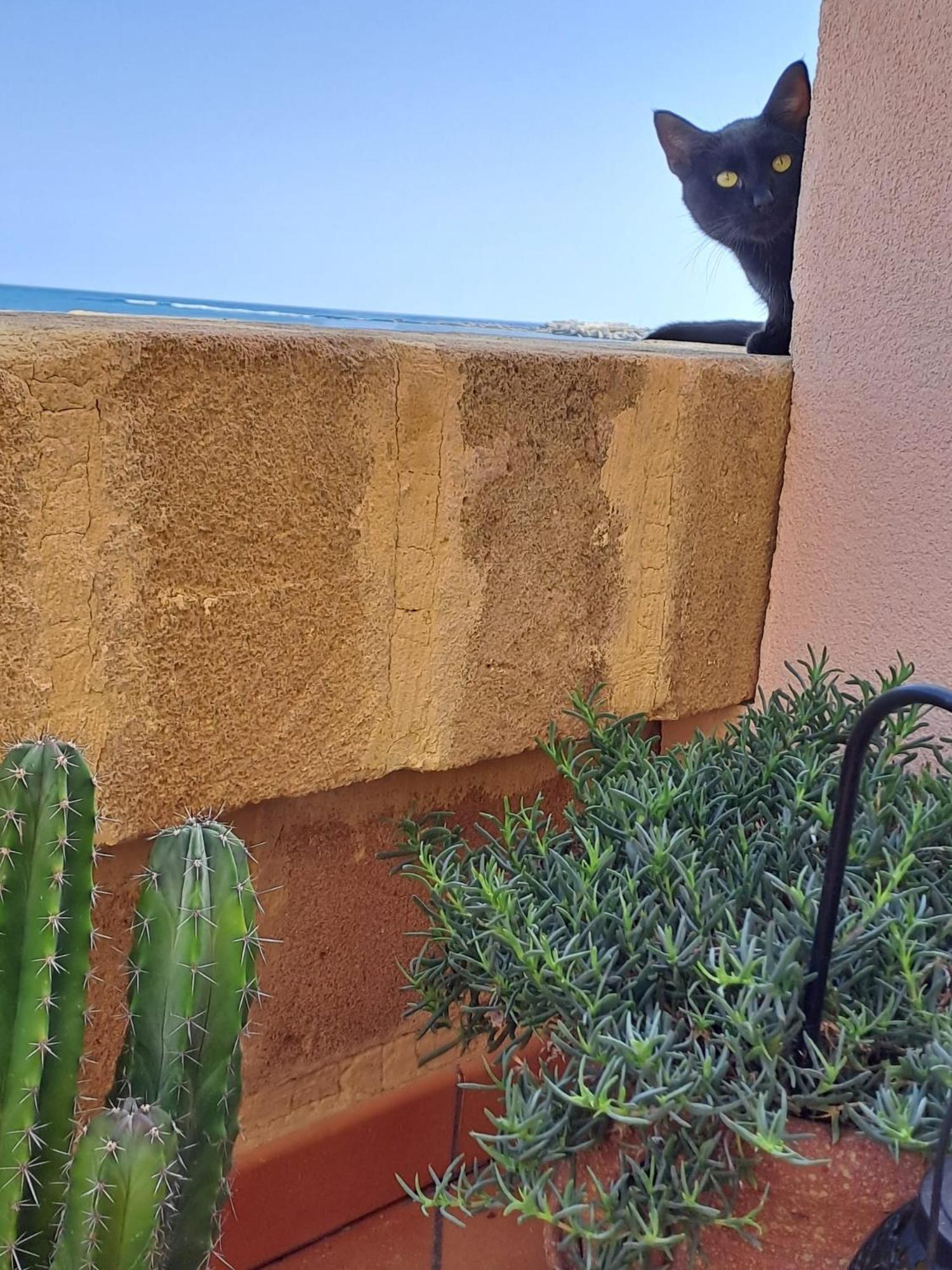 La Casa Sulla Spiaggia 마르자메미 외부 사진